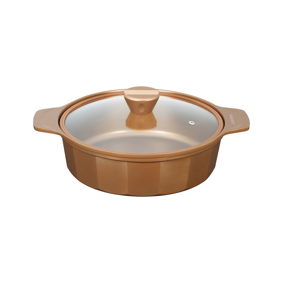 VISIONS GOLD Coating IHΉ26cm